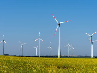 Yellow blossoming rapeseed and some wind energy plants seen in r