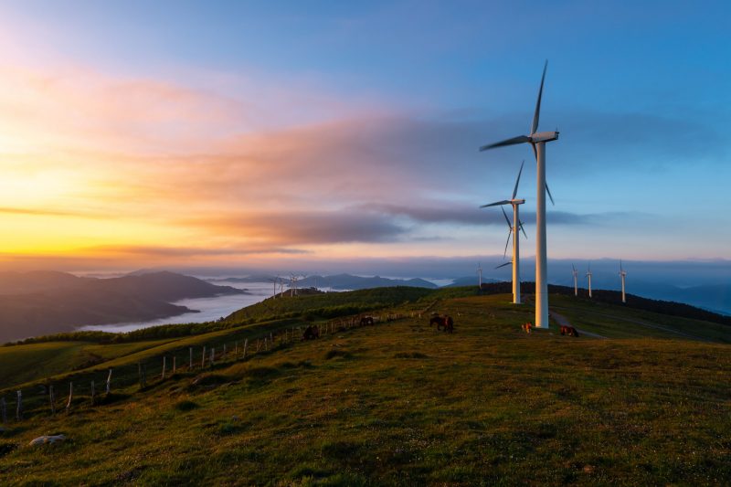 Wind turbines farm at sunrise, Oiz mountain, Basque Country, Spa